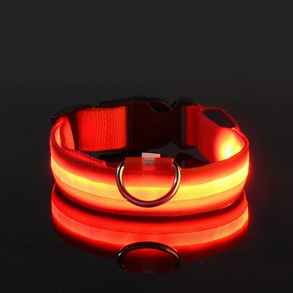 Dog LED collar belt