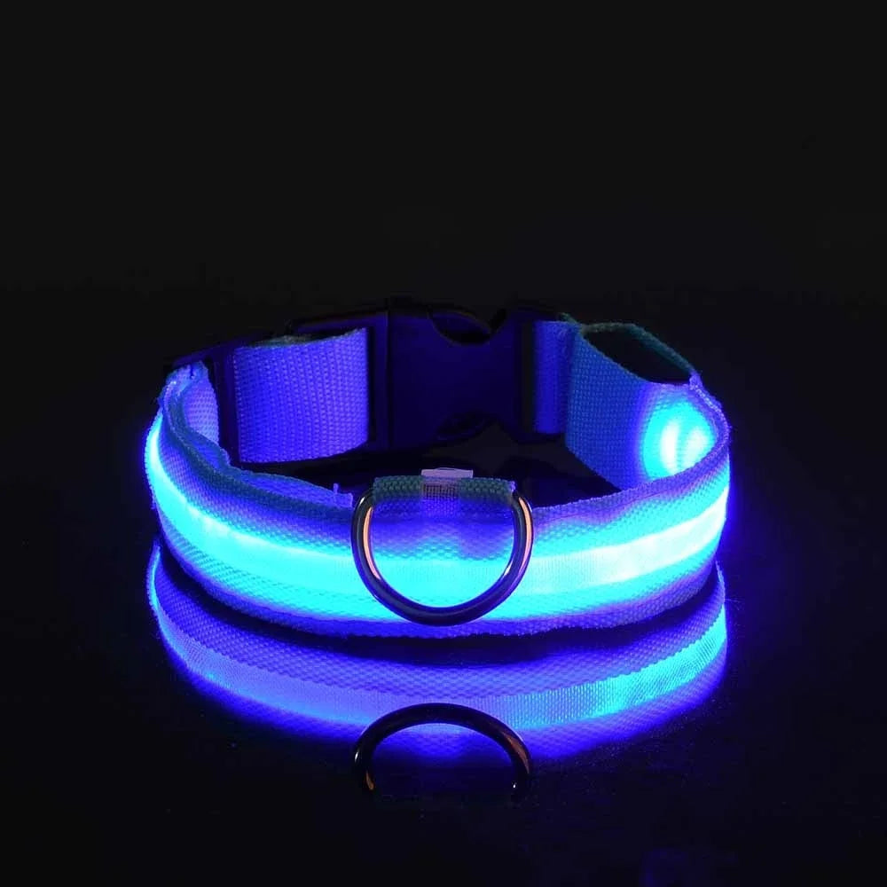 Dog LED collar belt