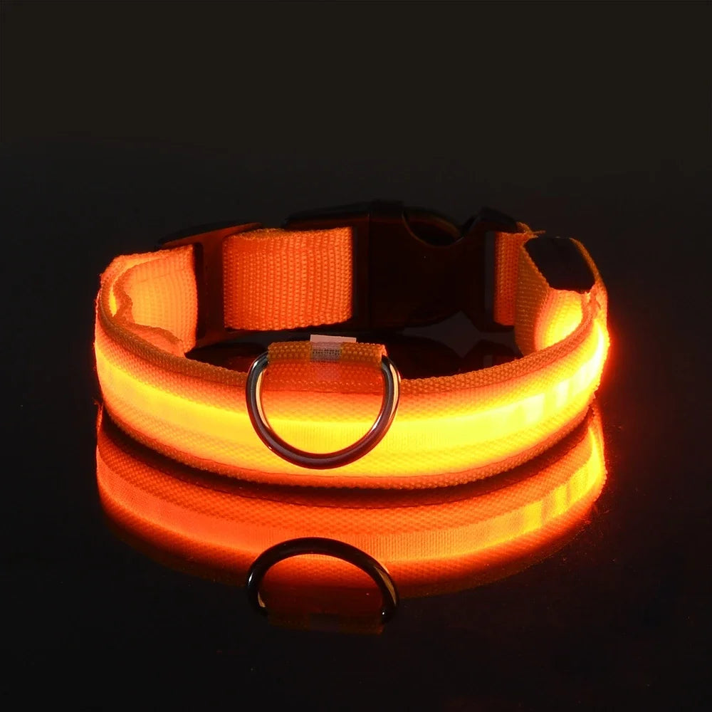 Dog LED collar belt