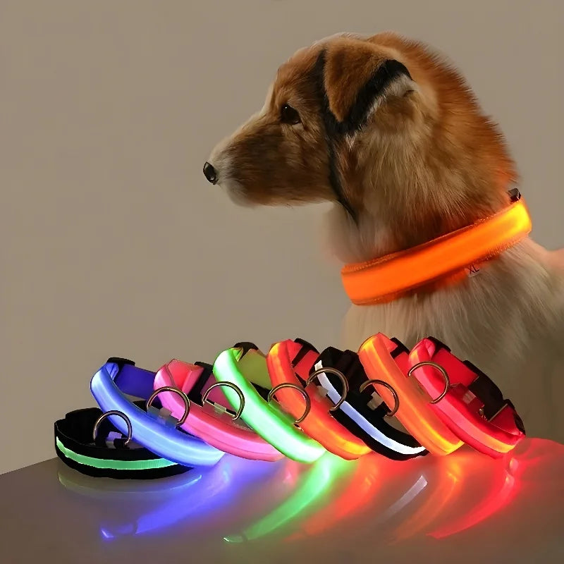 Dog LED collar belt