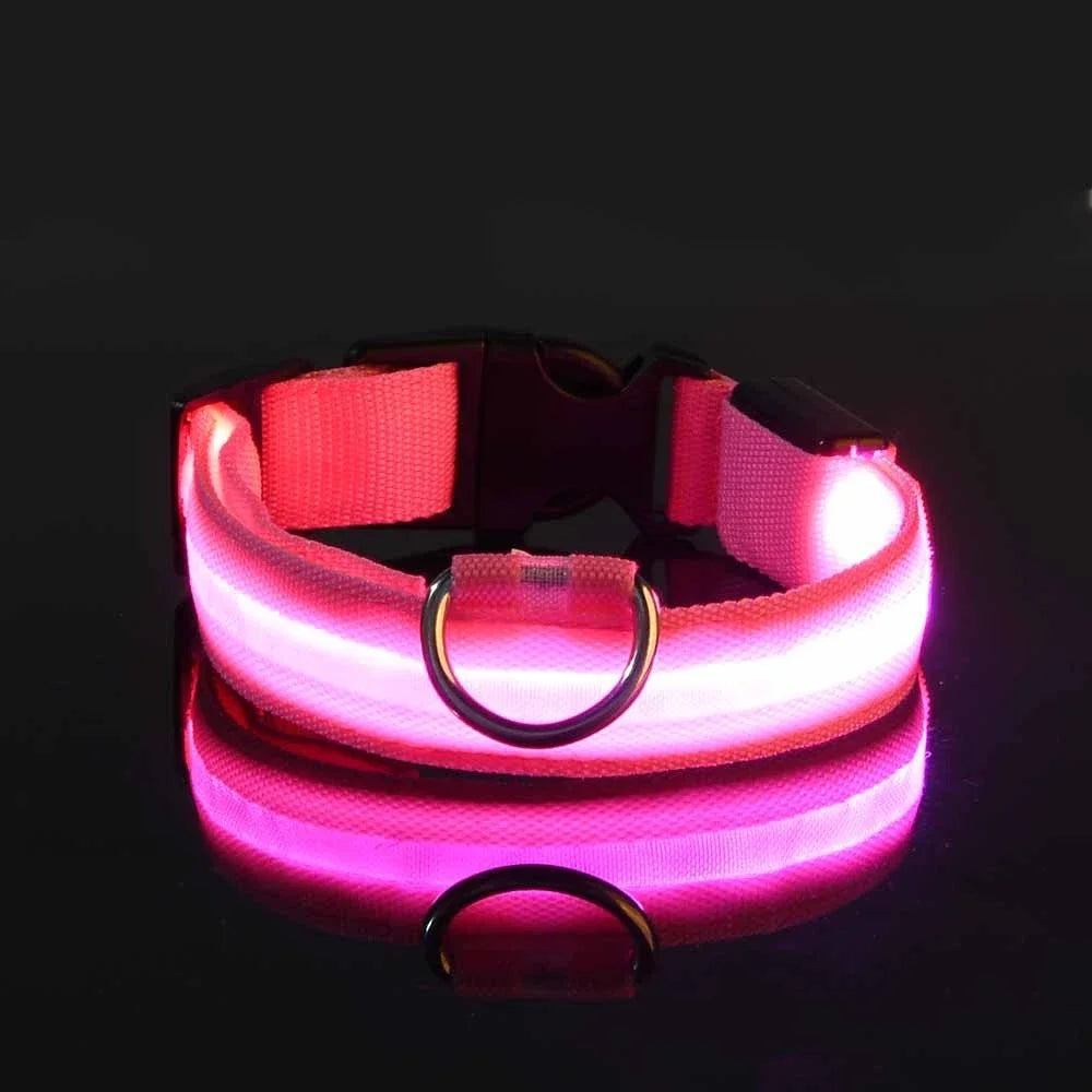 Dog LED collar belt